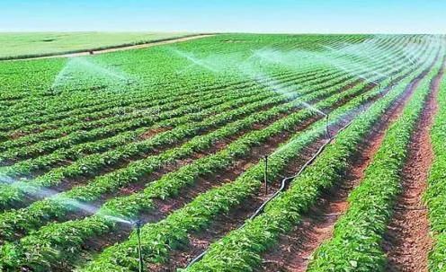 操黑屄农田高 效节水灌溉